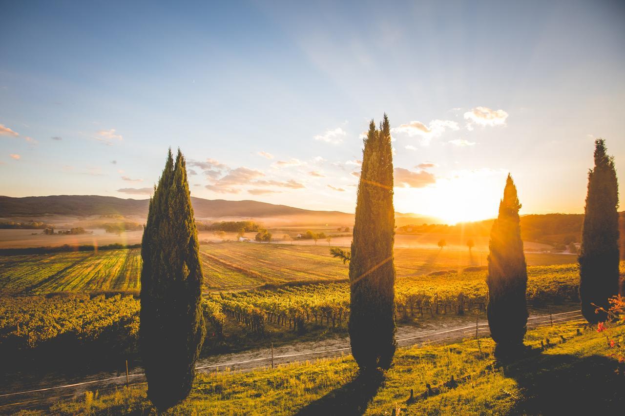 Villa Casali Di Bibbiano Buonconvento Exterior foto